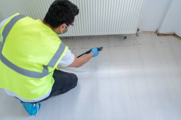 Best Pest Prevention Services  in Lucerne, CA